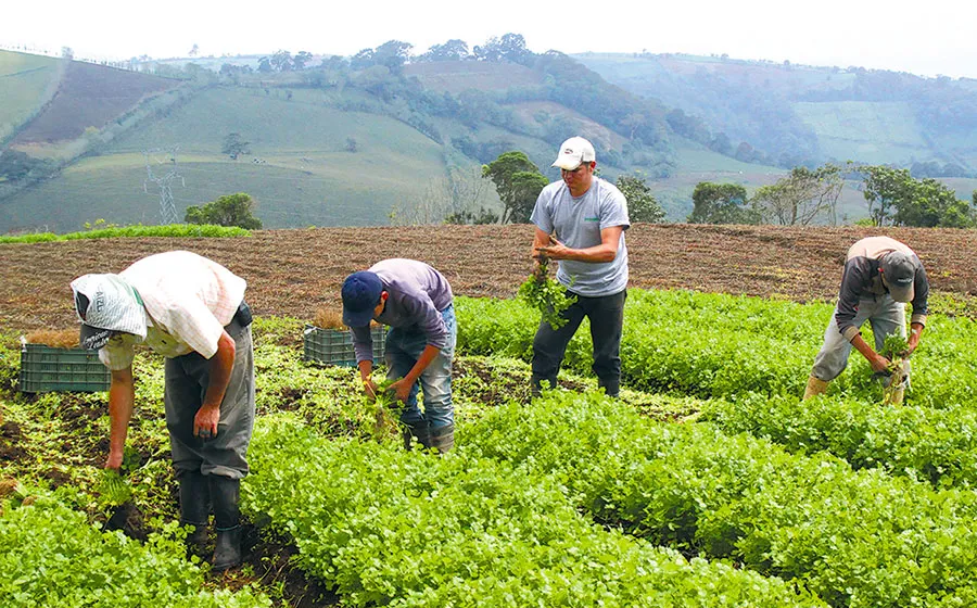 Agropecuaria