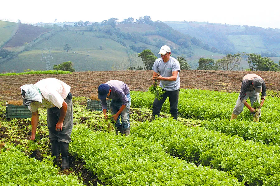 Desafíos en la Producción Agropecuaria de Zonas Fronterizas