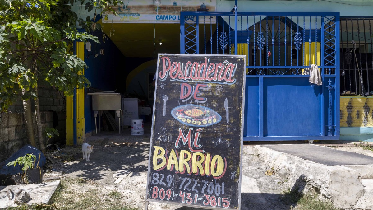 Pescaderías Barriales: Alimentación a Bajo Costo