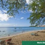 Sistemas eléctricos aislados en RD: Resumen clave