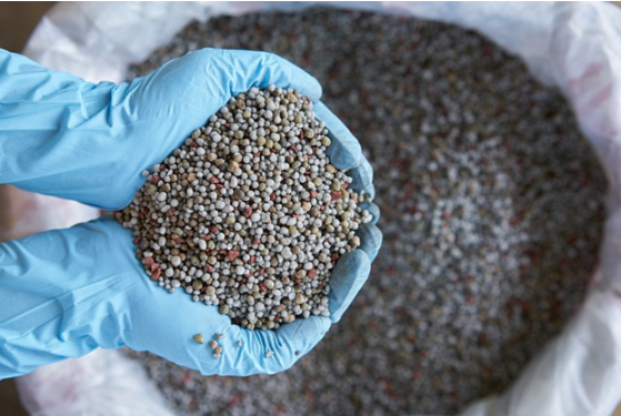 Confenagro apoya discurso de Abinader sobre producción local