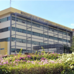 Wall Street cae: Análisis de la situación actual