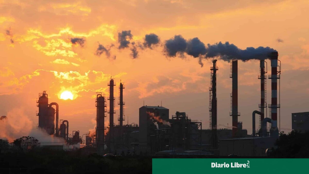 Caída del Petróleo: Impacto de la AIE en los Mercados