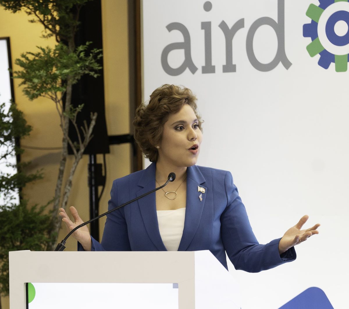 Reforma a la Ley 42-08: Nuevas Normas para Competencia