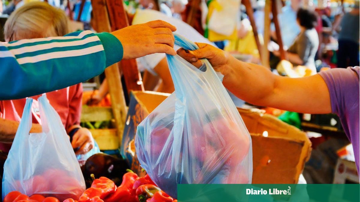 Reglamento sobre Fundas Plásticas en RD: Claves