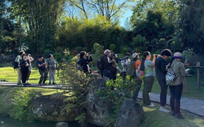 El aviturismo en Centroamérica potencia el ecoturismo.