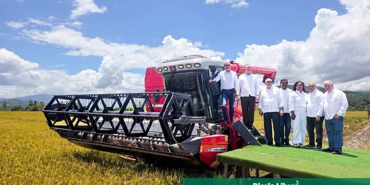 Cosecha arrocera 2026 en Bonao con tecnología avanzada