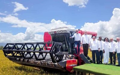 Cosecha arrocera 2026 en Bonao con tecnología avanzada