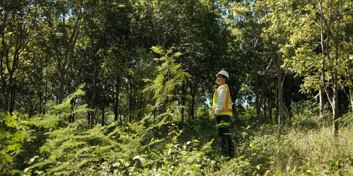 Modernización de la Ley Minera y su impacto ambiental