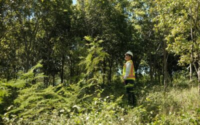 Modernización de la Ley Minera y su impacto ambiental