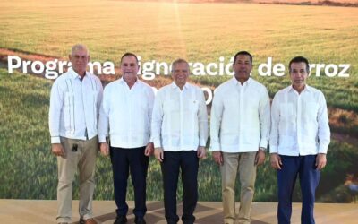Programa pignoración arroz en RD financiará el cultivo