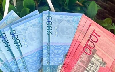 Gráfico comparativo de salario y compensación