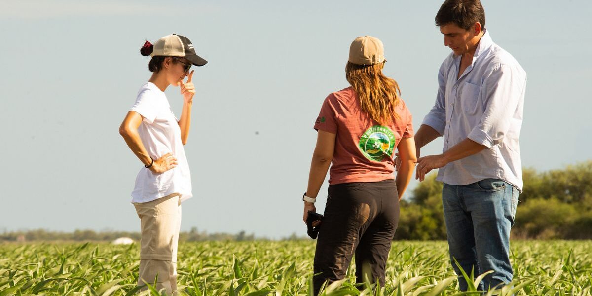 Seguridad alimentaria en Latinoamérica: clave para el futuro agrícola.