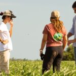 Seguridad alimentaria en Latinoamérica: clave para el futuro agrícola.