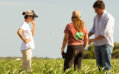 Seguridad alimentaria en Latinoamérica: clave para el futuro agrícola.