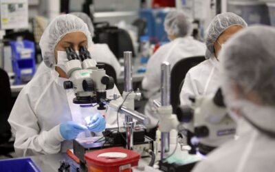 Zonas Francas en República Dominicana evolucionan hacia tecnología