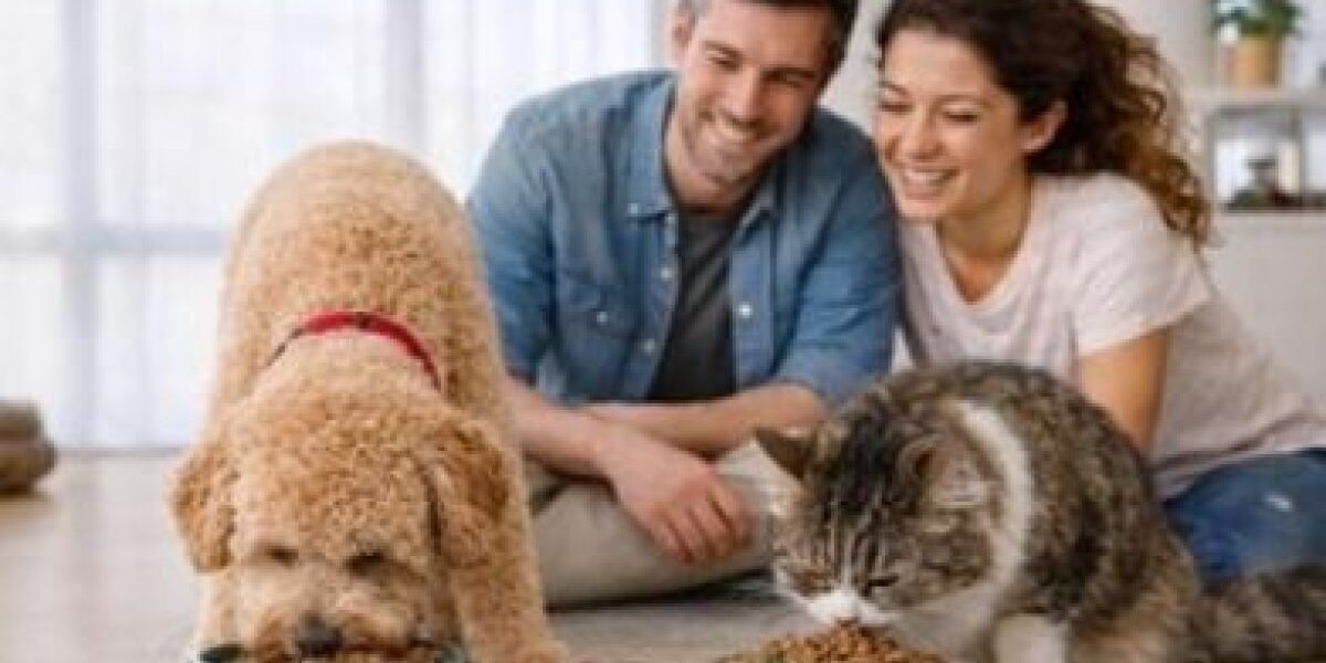 CMI y Grupo Bios alianza estratégica en nutrición de mascotas