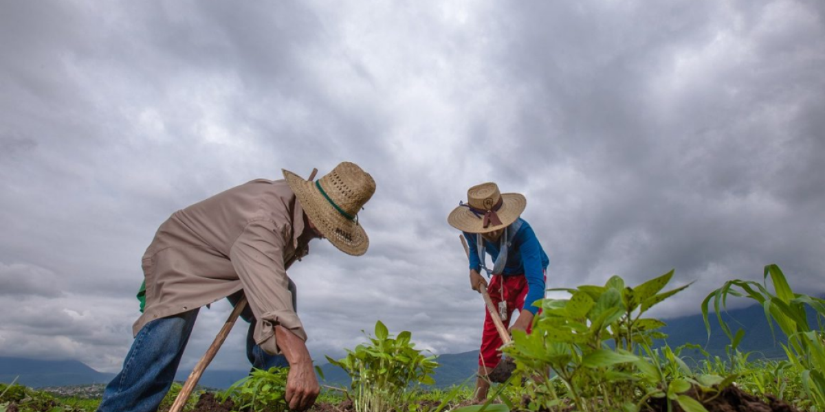 Comercio justo promoviendo justicia social y económica.