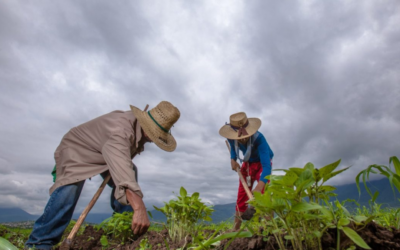Comercio justo promoviendo justicia social y económica.