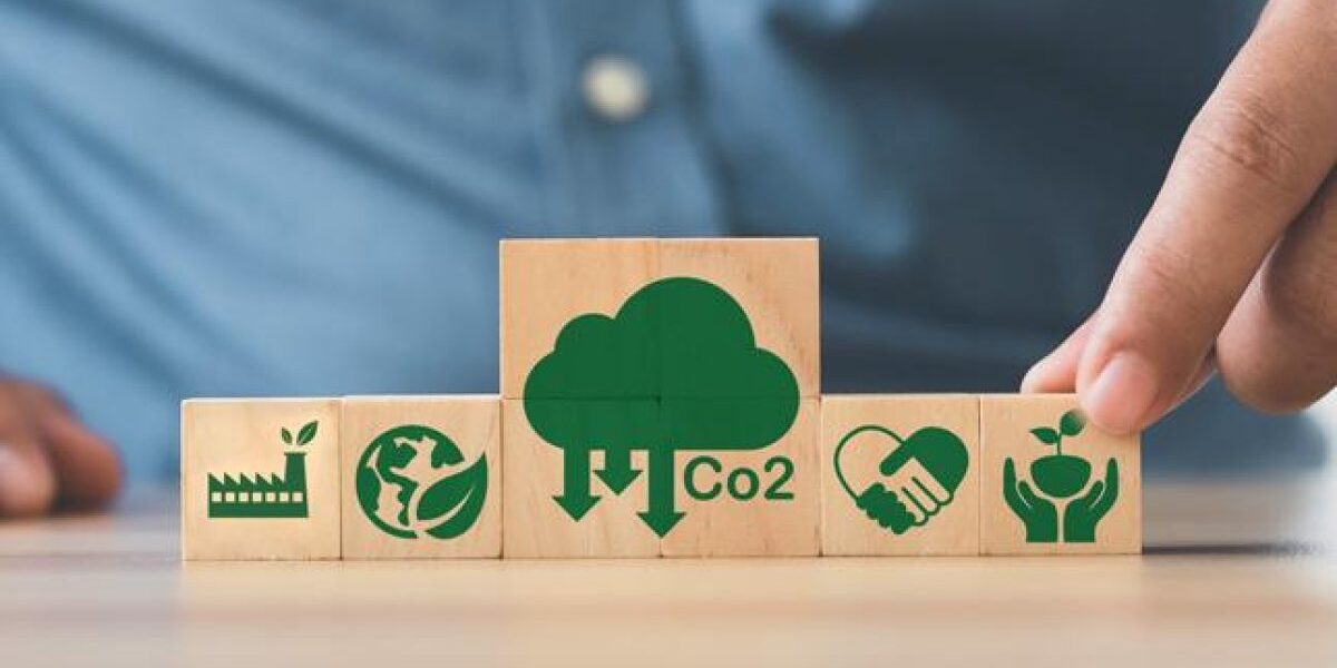 Créditos de carbono y sostenibilidad corporativa