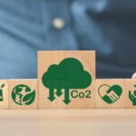 Créditos de carbono y sostenibilidad corporativa
