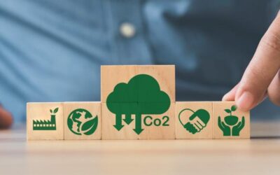 Créditos de carbono y sostenibilidad corporativa