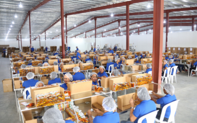 Mercado laboral RD con 5,236,178 trabajadores en 2026