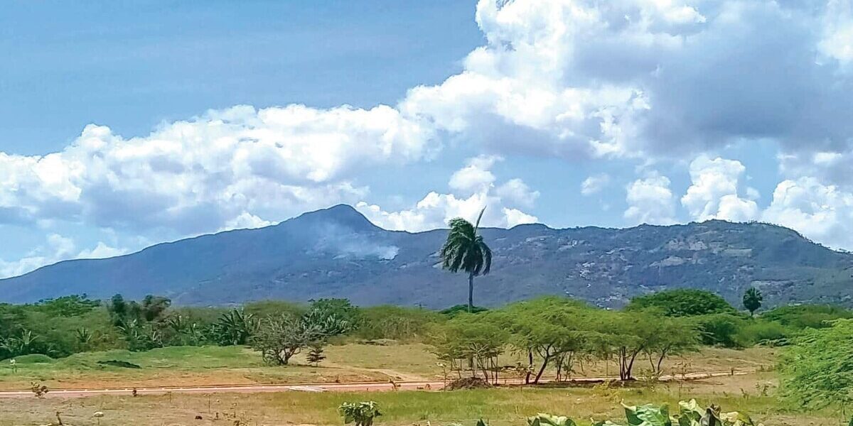 Vertrixi Holding enfrentando denuncias falsas de impacto ambiental