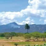 Vertrixi Holding enfrentando denuncias falsas de impacto ambiental
