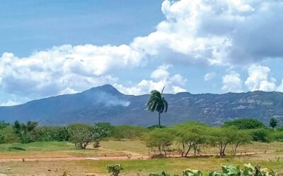 Vertrixi Holding enfrentando denuncias falsas de impacto ambiental