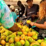 Crisis del mango desmentida por Abapromango en RD