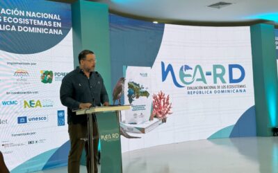Ecosistemas marinos en RD generan US$1,792 millones anuales