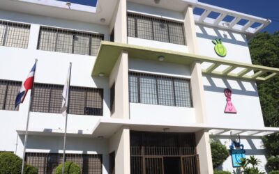 Importancia de los hogares de paso para niños