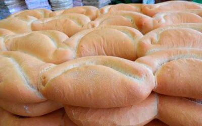 Medidas fiscales panaderías fortalecen sin subir precios.