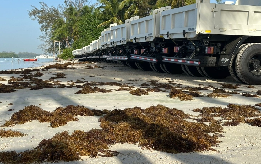 Sargazo en República Dominicana: desafío ambiental