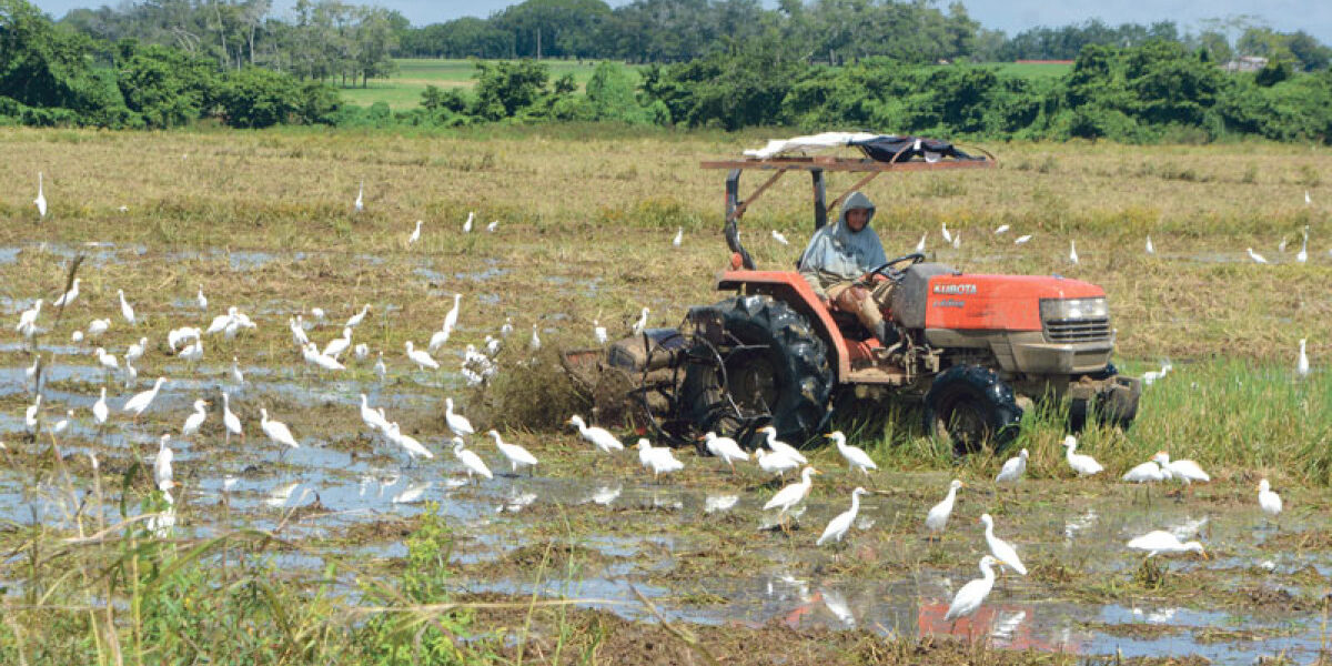 Sistema Digital Agropecuario en República Dominicana