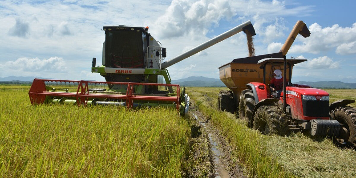 Subsidios de fertilizantes en República Dominicana