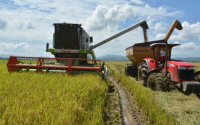 Subsidios de fertilizantes en República Dominicana