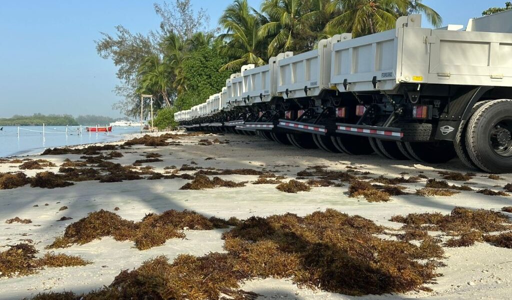 Turismo entrega equipos para limpiar playas de sargazo.