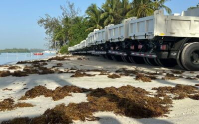 Turismo entrega equipos para limpiar playas de sargazo.