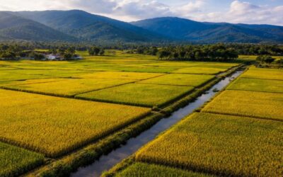 Zonificación agrícola en República Dominicana