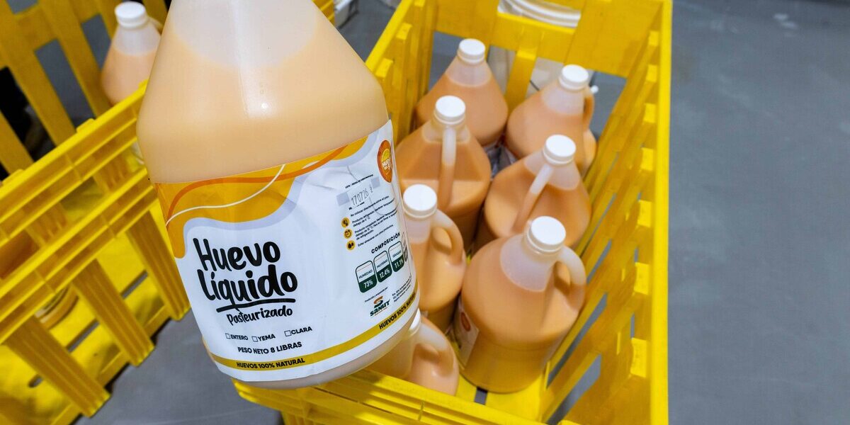 Avicultura dominicana: Innovación y huevos pasteurizados