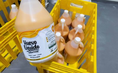 Avicultura dominicana: Innovación y huevos pasteurizados