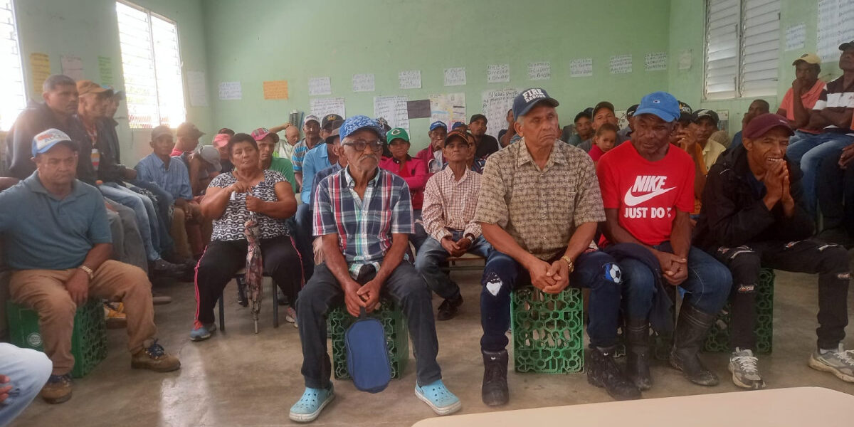 Caficultura dominicana enfrenta crisis, importaciones dominan.