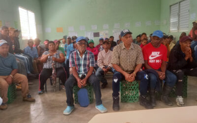 Caficultura dominicana enfrenta crisis, importaciones dominan.
