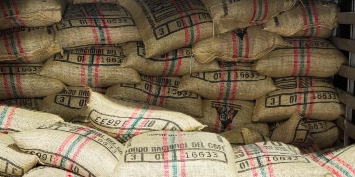 Exportación de café desde Puerto Antioquia, nueva ruta