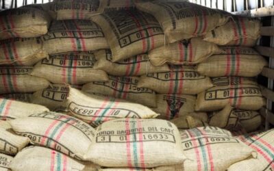 Exportación de café desde Puerto Antioquia, nueva ruta