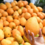 Problemas en exportaciones de mangos dominicanos