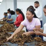 Proindustria moderniza parques industriales con 665 millones de pesos