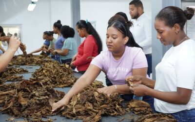 Proindustria moderniza parques industriales con 665 millones de pesos